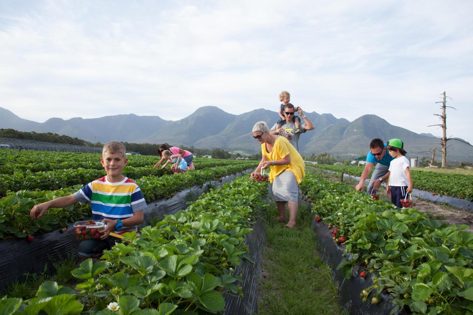 Redberry Farm Βίλα George Εξωτερικό φωτογραφία