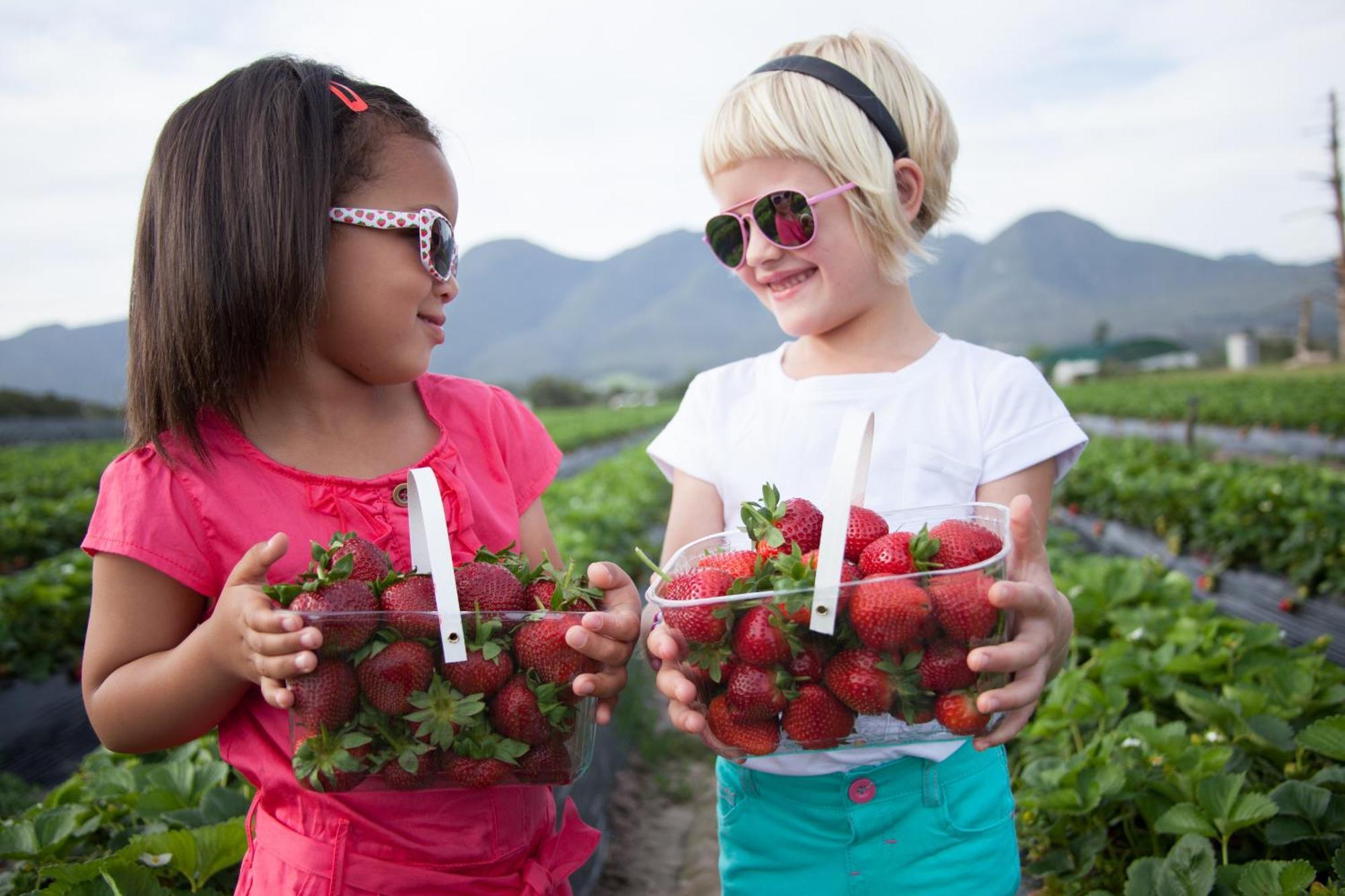 Redberry Farm Βίλα George Εξωτερικό φωτογραφία